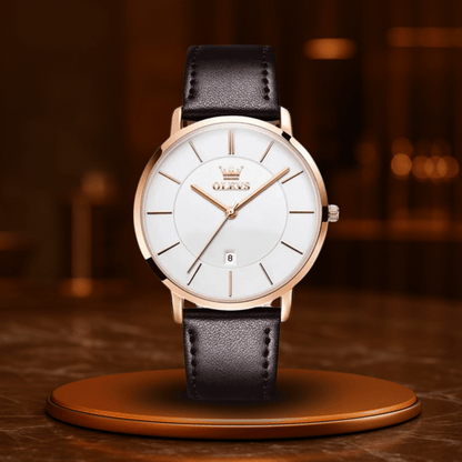 Ralvik® Meridian S1 Watch